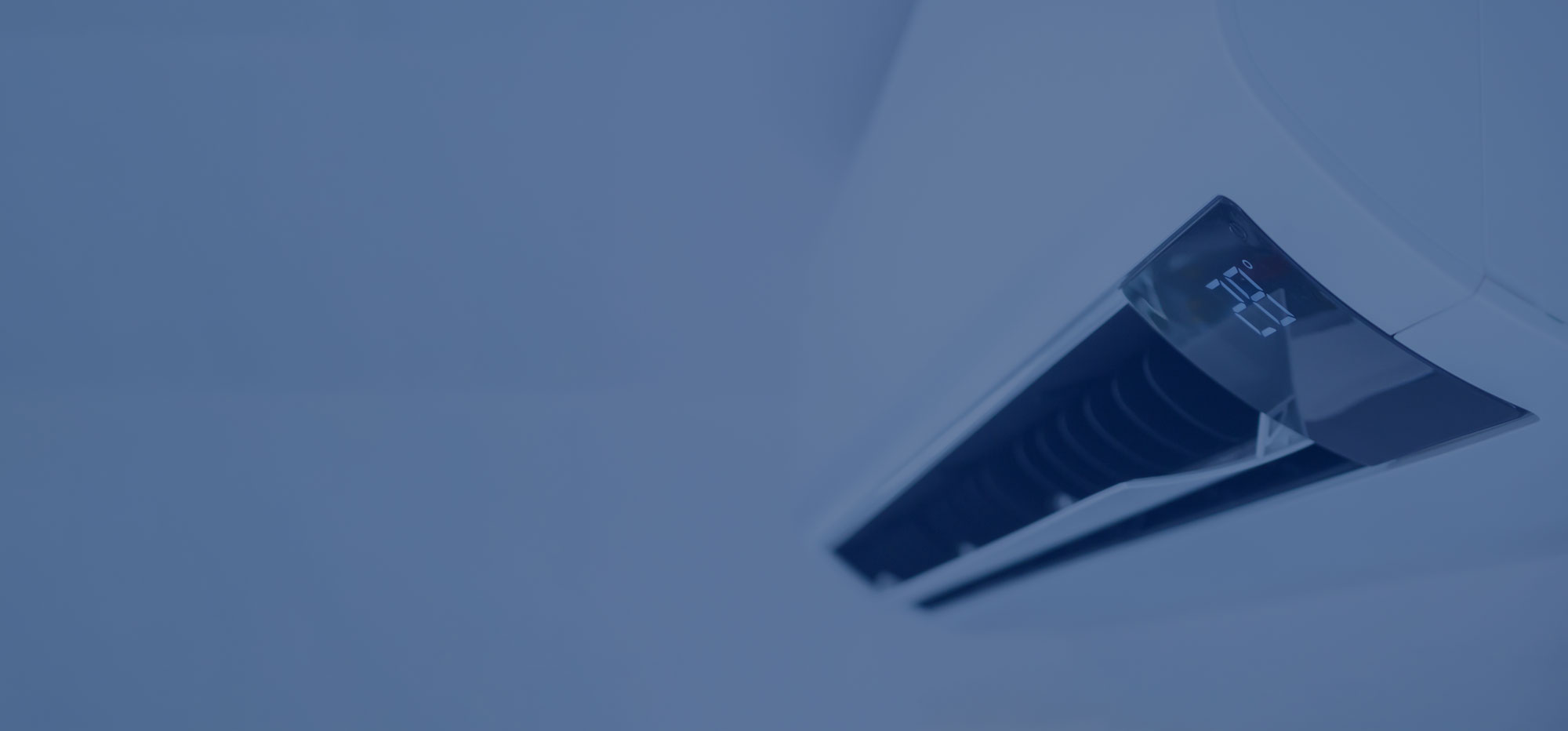 banner 3